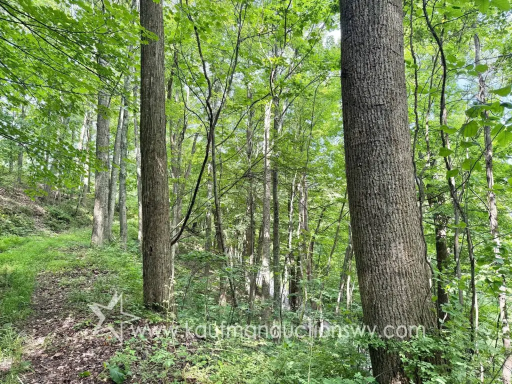 Picture 6