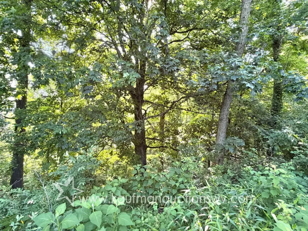 Picture 19