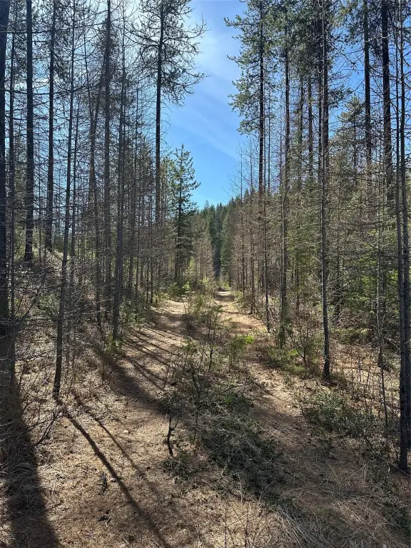 Picture 16