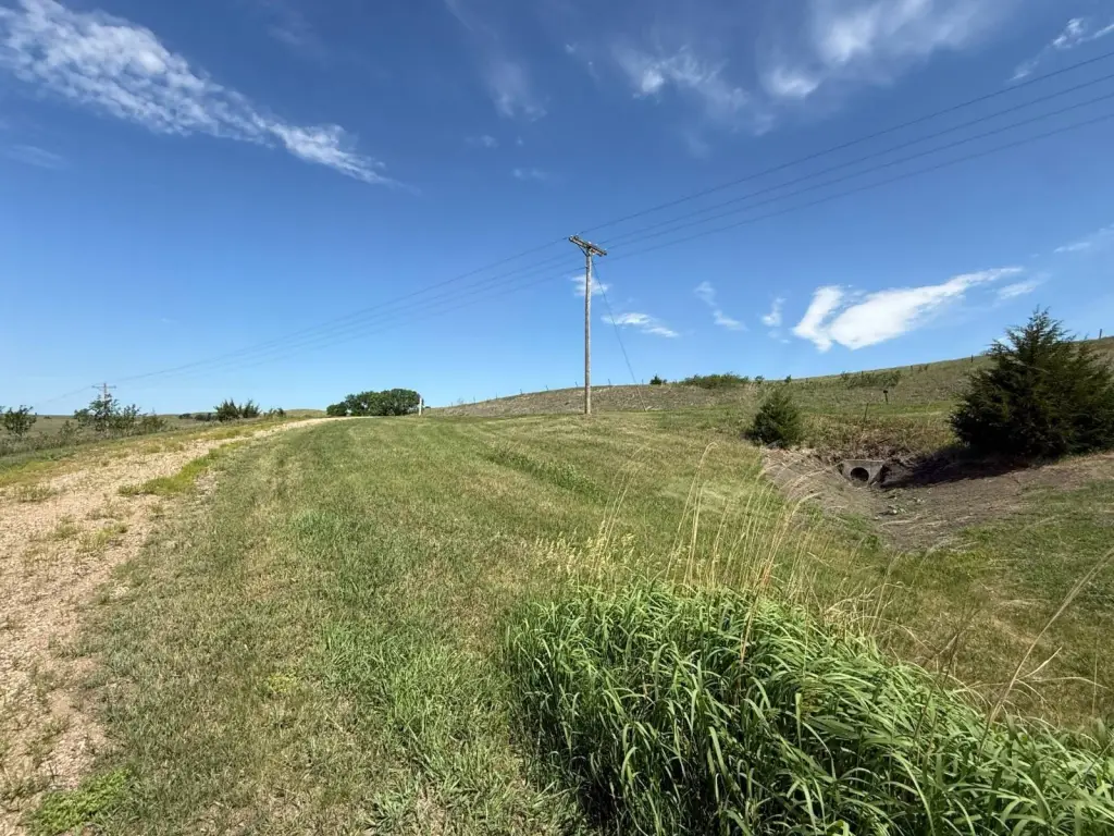 Picture 24