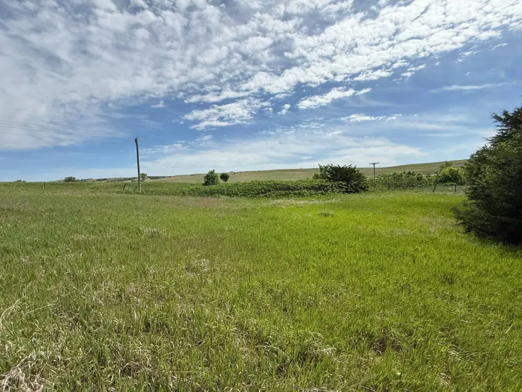 Picture 20