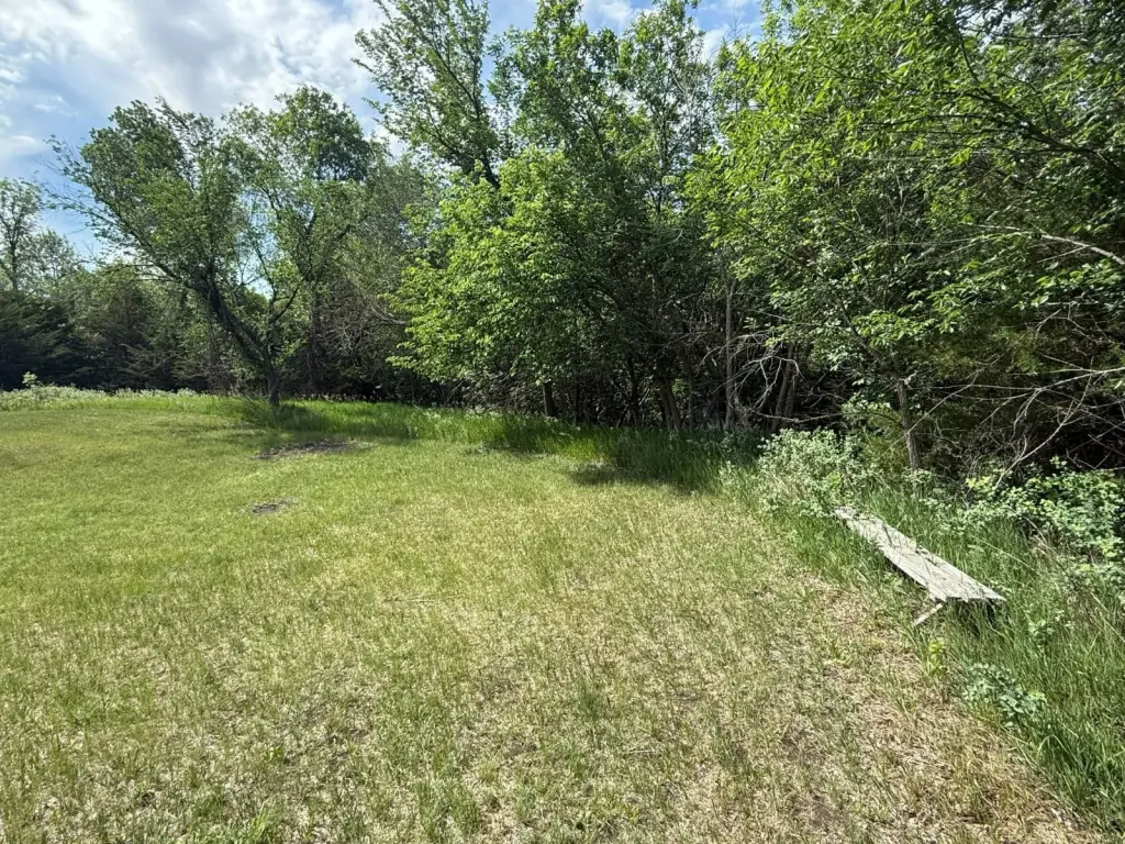 Picture 28