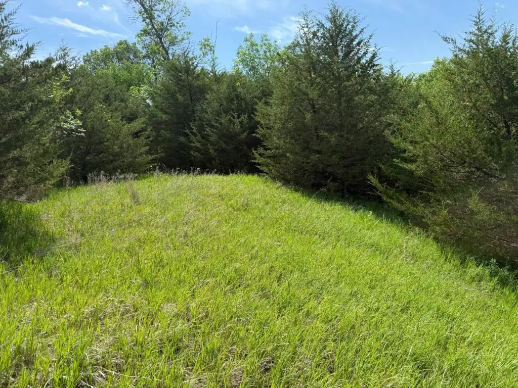 Picture 18
