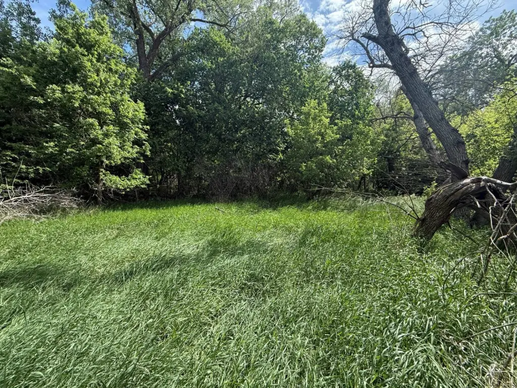 Picture 15