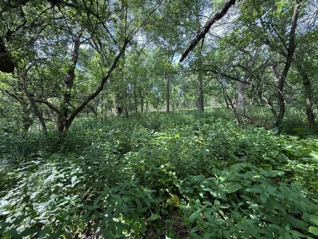 Picture 6