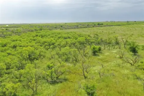 Bellevue, TX Unimproved Land