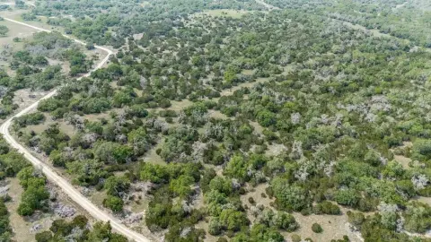 Texas Hill Country Investment Opportunity