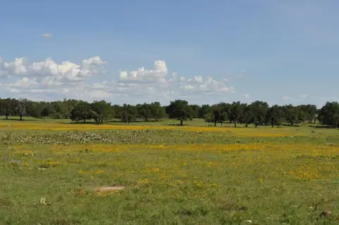 Harper TX Ranch Land Opportunity