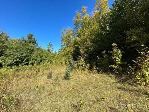 Secluded Upper Peninsula Wilderness Parcel