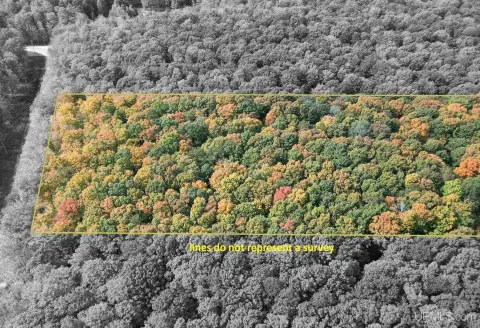 Mature Hardwood Land Parcel