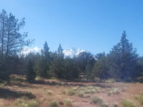 40 Acres Land with Views