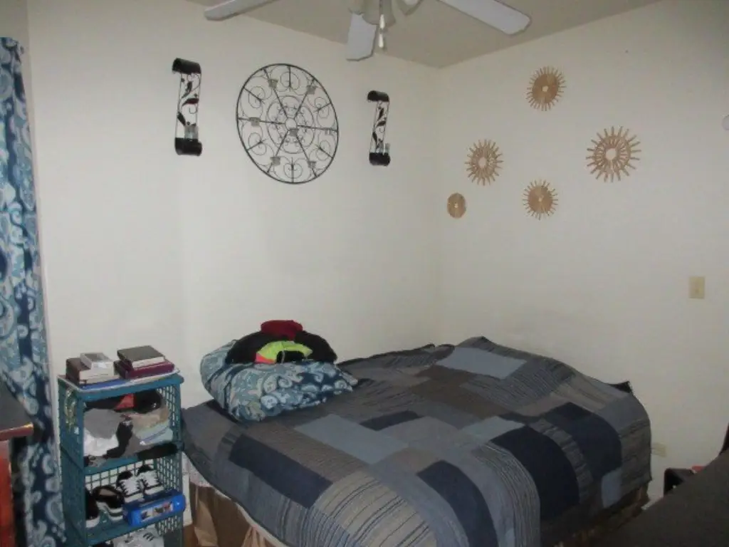 Picture 17
