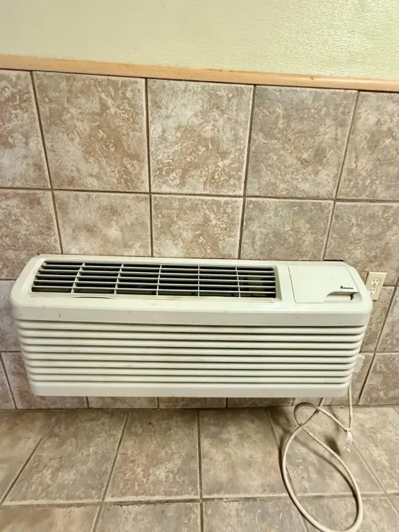 Picture 40