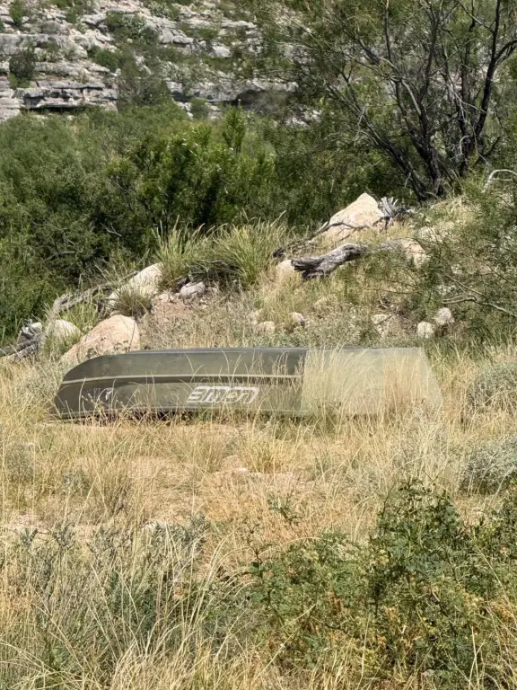 Picture 14