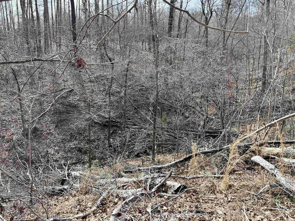Picture 17