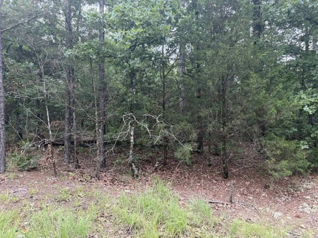 Picture 21