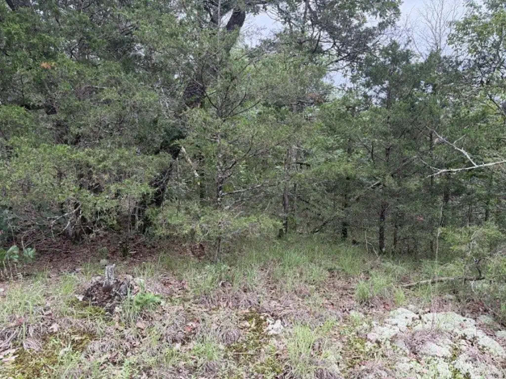 Picture 2