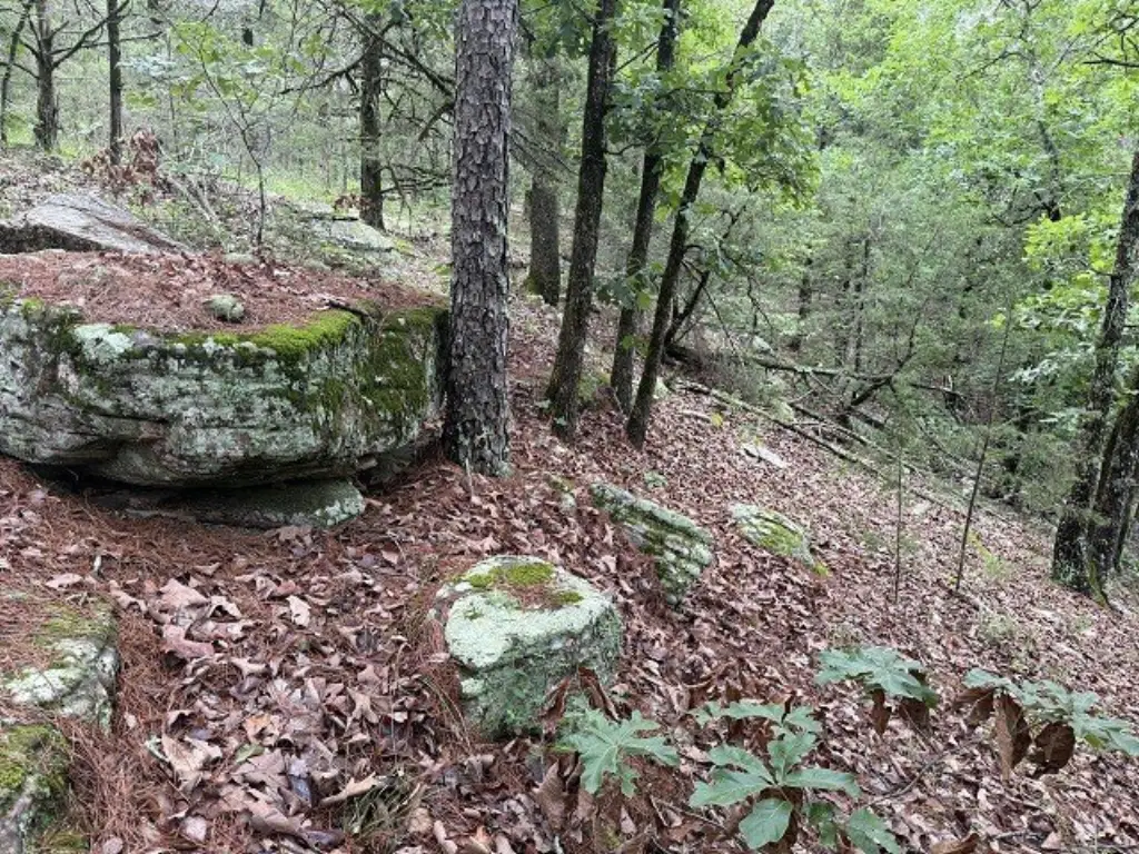 Picture 6