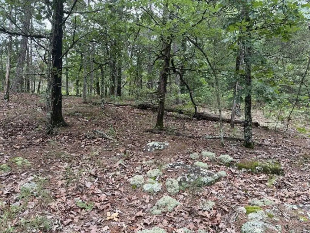 Picture 4