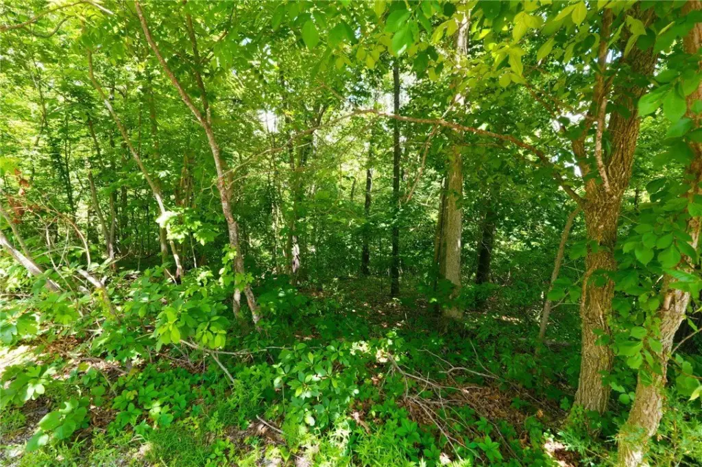 Picture 7
