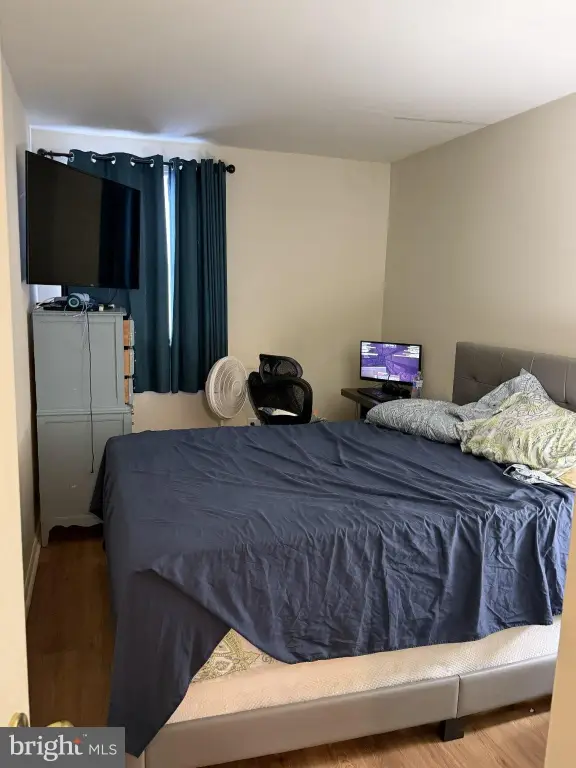 Picture 29