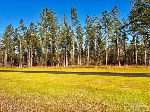 Heavily Wooded 15-Acre Homesite