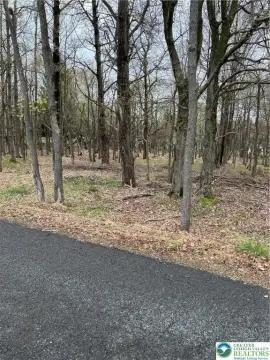 Arrowhead Lake Wooded Lot