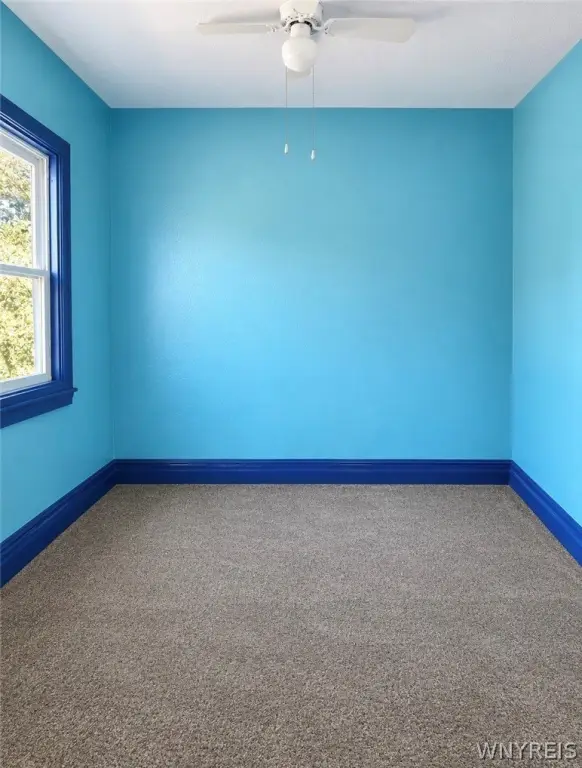 Picture 24