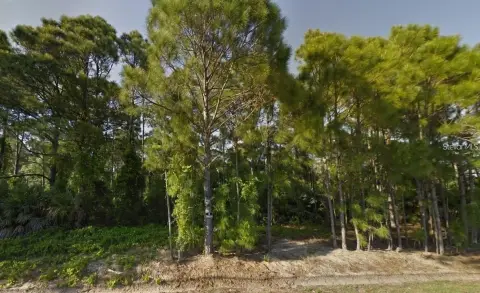 Residential Land in Palm Bay