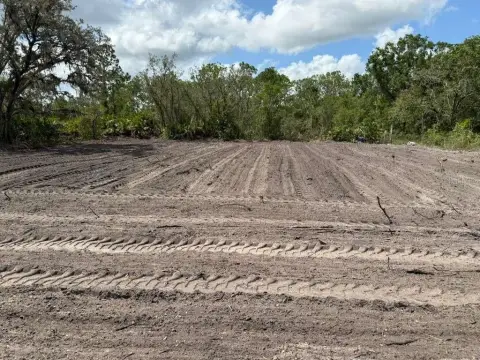 Prime Avon Park Development Opportunity