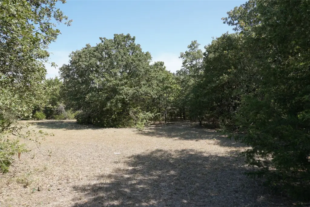 Picture 12