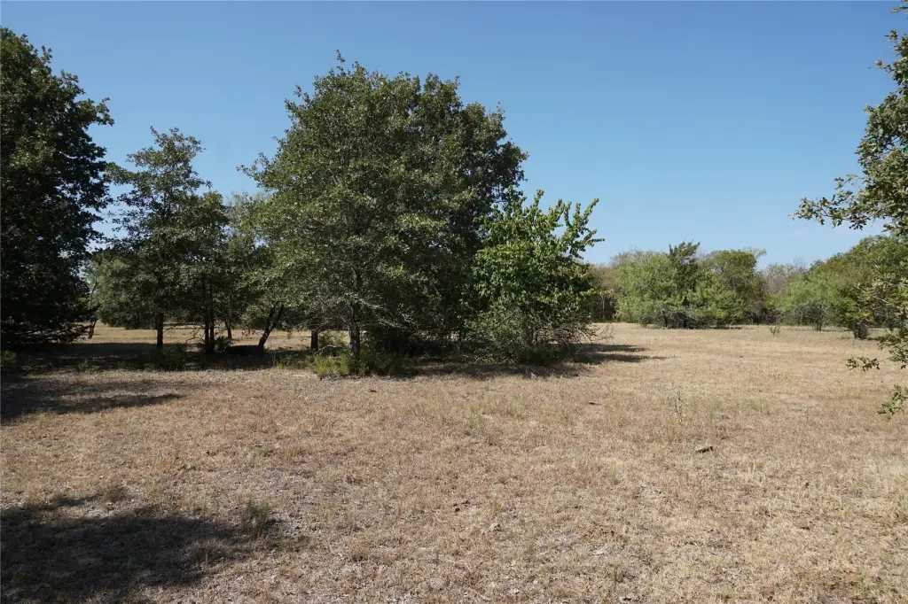 Picture 14