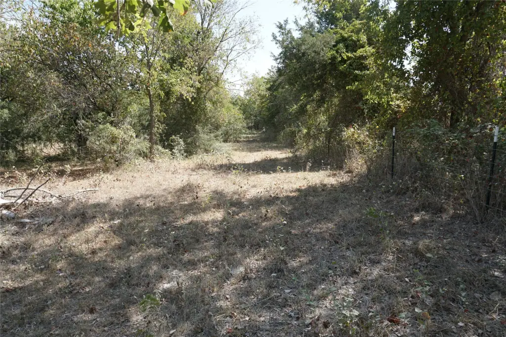 Picture 20