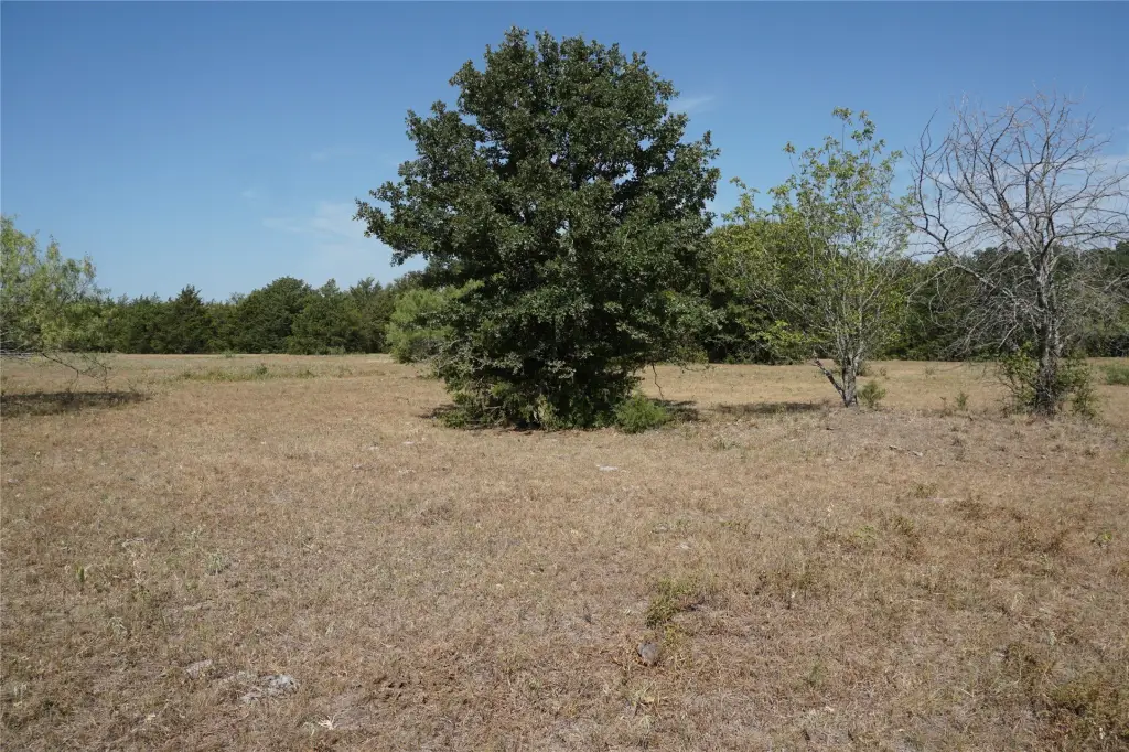 Picture 4
