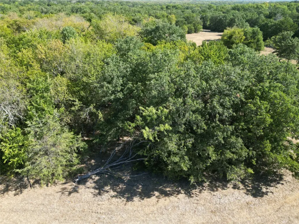 Picture 25