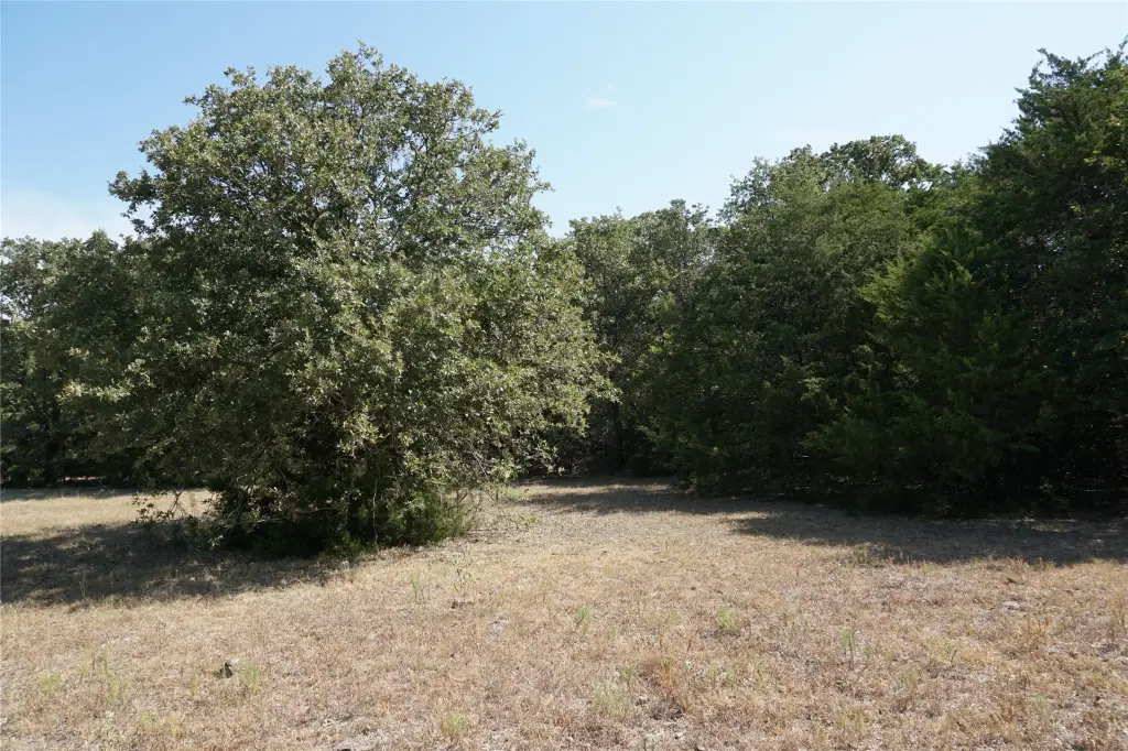 Picture 11