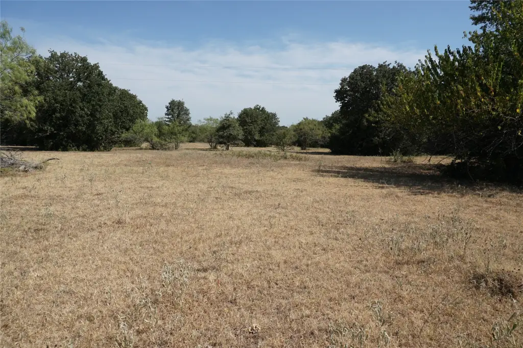 Picture 19