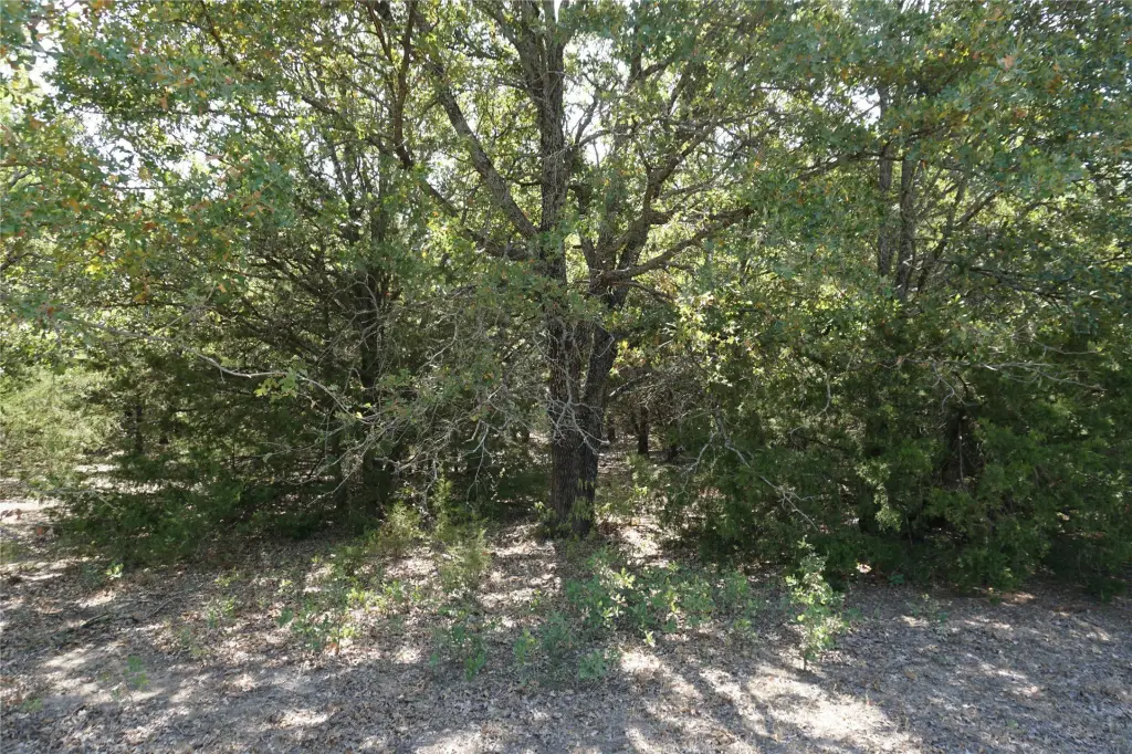 Picture 15