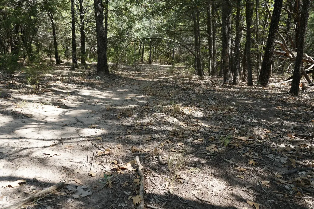 Picture 13