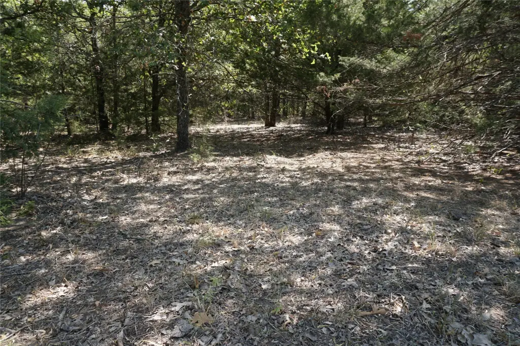 Picture 18