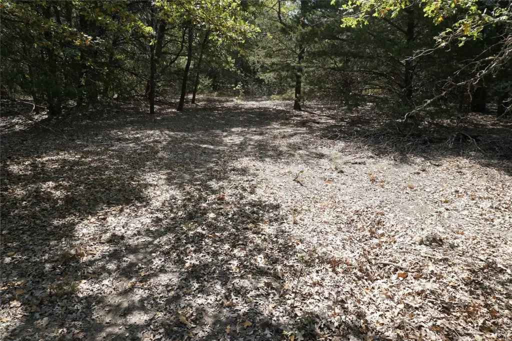 Picture 17
