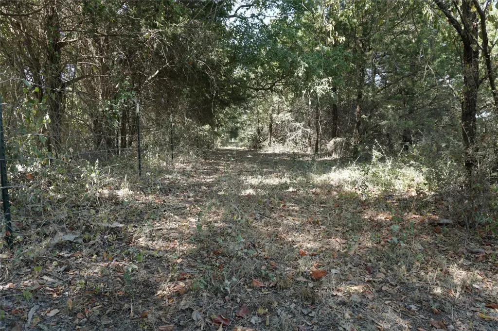 Picture 21