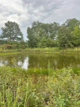 Picturesque Acreage in Telephone, TX