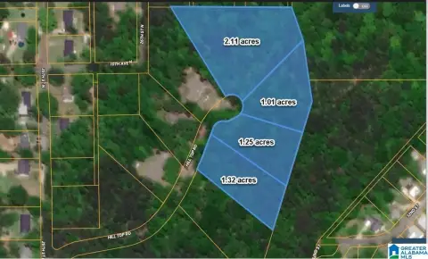 Pell City Acreage Opportunity