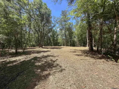 5.64 Acre Wooded Homesite