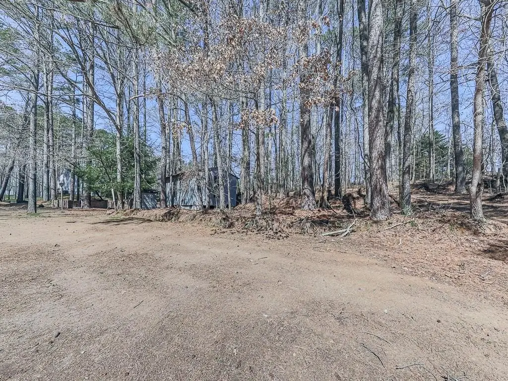 Picture 18
