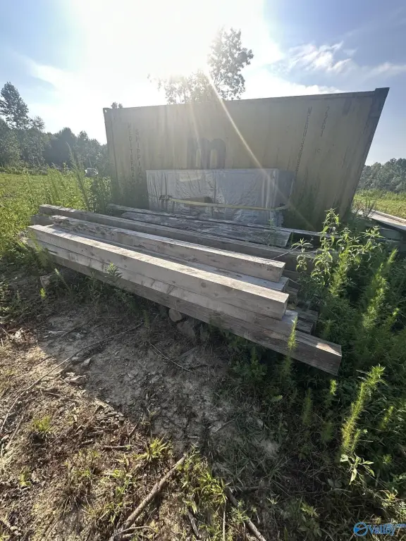 Picture 19