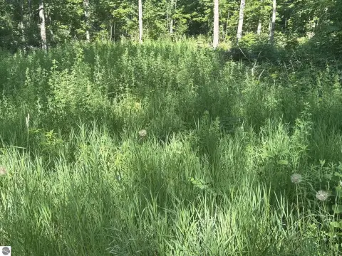 20 Acres of Vacant Land