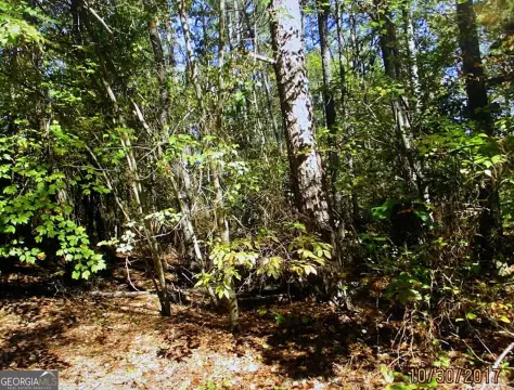 Land in Villa Rica, GA