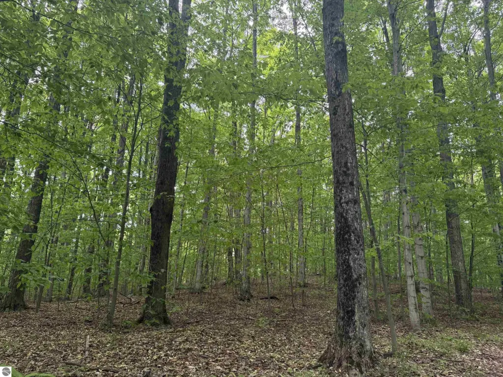 Picture 48